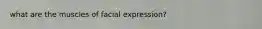 what are the muscles of facial expression?