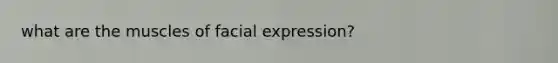 what are the muscles of facial expression?