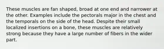 These muscles are fan shaped, broad at one end and narrower at the other. Examples include the pectorals major in the chest and the temporals on the side of the head. Despite their small localized insertions on a bone, these muscles are relatively strong because they have a large number of fibers in the wider part.