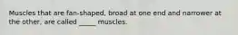 Muscles that are fan-shaped, broad at one end and narrower at the other, are called _____ muscles.