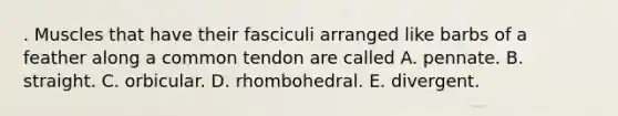 . Muscles that have their fasciculi arranged like barbs of a feather along a common tendon are called A. pennate. B. straight. C. orbicular. D. rhombohedral. E. divergent.