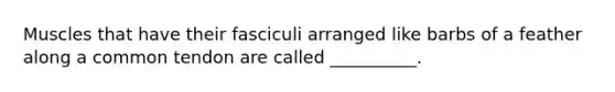 Muscles that have their fasciculi arranged like barbs of a feather along a common tendon are called __________.