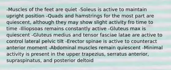 -Muscles of the feet are quiet -Soleus is active to maintain upright position -Quads and hamstrings for the most part are quiescent, although they may show slight activity fro time to time -Illiopsoas remains constantly active -Gluteus max is quiescent -Gluteus medius and tensor fasciae latae are active to control lateral pelvic tilt -Erector spinae is active to counteract anterior moment -Abdominal muscles remain quiescent -Minimal activity is present in the upper trapezius, serratus anterior, supraspinatus, and posterior deltoid