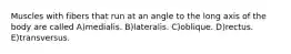 Muscles with fibers that run at an angle to the long axis of the body are called A)medialis. B)lateralis. C)oblique. D)rectus. E)transversus.