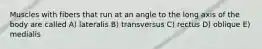 Muscles with fibers that run at an angle to the long axis of the body are called A) lateralis B) transversus C) rectus D) oblique E) medialis