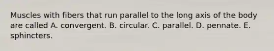 Muscles with fibers that run parallel to the long axis of the body are called A. convergent. B. circular. C. parallel. D. pennate. E. sphincters.