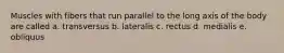 Muscles with fibers that run parallel to the long axis of the body are called a. transversus b. lateralis c. rectus d. medialis e. obliquus