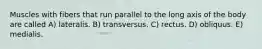 Muscles with fibers that run parallel to the long axis of the body are called A) lateralis. B) transversus. C) rectus. D) obliquus. E) medialis.