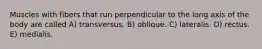 Muscles with fibers that run perpendicular to the long axis of the body are called A) transversus. B) oblique. C) lateralis. D) rectus. E) medialis.