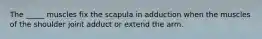 The _____ muscles fix the scapula in adduction when the muscles of the shoulder joint adduct or extend the arm.