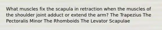 What muscles fix the scapula in retraction when the muscles of the shoulder joint adduct or extend the arm? The Trapezius The Pectoralis Minor The Rhomboids The Levator Scapulae