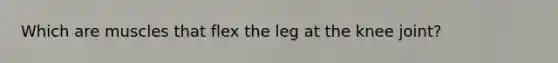 Which are muscles that flex the leg at the knee joint?