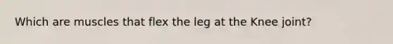 Which are muscles that flex the leg at the Knee joint?