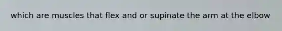 which are muscles that flex and or supinate the arm at the elbow