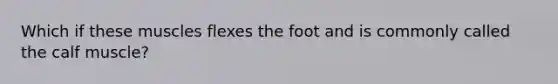 Which if these muscles flexes the foot and is commonly called the calf muscle?