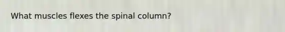 What muscles flexes the spinal column?