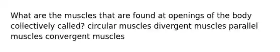 What are the muscles that are found at openings of the body collectively called? circular muscles divergent muscles parallel muscles convergent muscles