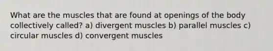 What are the muscles that are found at openings of the body collectively called? a) divergent muscles b) parallel muscles c) circular muscles d) convergent muscles