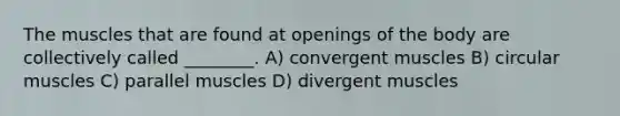 The muscles that are found at openings of the body are collectively called ________. A) convergent muscles B) circular muscles C) parallel muscles D) divergent muscles
