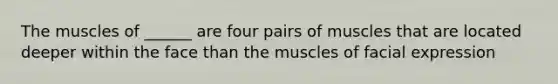 The muscles of ______ are four pairs of muscles that are located deeper within the face than the muscles of facial expression