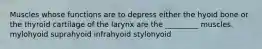 Muscles whose functions are to depress either the hyoid bone or the thyroid cartilage of the larynx are the _________ muscles. mylohyoid suprahyoid infrahyoid stylohyoid