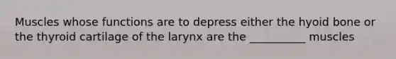 Muscles whose functions are to depress either the hyoid bone or the thyroid cartilage of the larynx are the __________ muscles