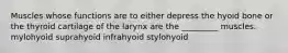 Muscles whose functions are to either depress the hyoid bone or the thyroid cartilage of the larynx are the _________ muscles. mylohyoid suprahyoid infrahyoid stylohyoid