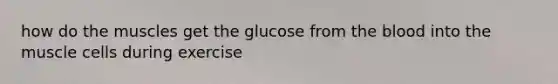 how do the muscles get the glucose from the blood into the muscle cells during exercise