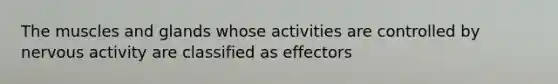 The muscles and glands whose activities are controlled by nervous activity are classified as effectors