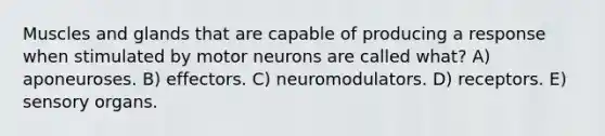 Muscles and glands that are capable of producing a response when stimulated by motor neurons are called what? A) aponeuroses. B) effectors. C) neuromodulators. D) receptors. E) sensory organs.