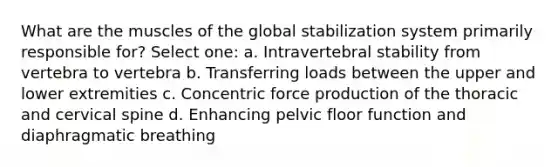 What are the muscles of the global stabilization system primarily responsible for? Select one: a. Intravertebral stability from vertebra to vertebra b. Transferring loads between the upper and lower extremities c. Concentric force production of the thoracic and cervical spine d. Enhancing pelvic floor function and diaphragmatic breathing