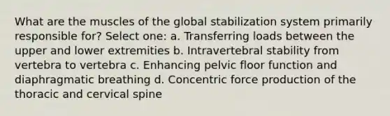 What are the muscles of the global stabilization system primarily responsible for? Select one: a. Transferring loads between the upper and lower extremities b. Intravertebral stability from vertebra to vertebra c. Enhancing pelvic floor function and diaphragmatic breathing d. Concentric force production of the thoracic and cervical spine