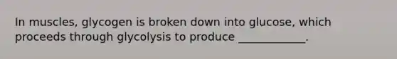 In muscles, glycogen is broken down into glucose, which proceeds through glycolysis to produce ____________.