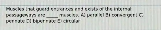 Muscles that guard entrances and exists of the internal passageways are _____ muscles. A) parallel B) convergent C) pennate D) bipennate E) circular