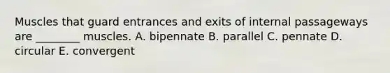 Muscles that guard entrances and exits of internal passageways are ________ muscles. A. bipennate B. parallel C. pennate D. circular E. convergent