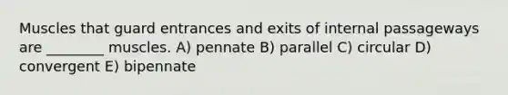 Muscles that guard entrances and exits of internal passageways are ________ muscles. A) pennate B) parallel C) circular D) convergent E) bipennate