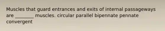 Muscles that guard entrances and exits of internal passageways are ________ muscles. circular parallel bipennate pennate convergent