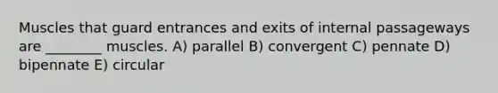 Muscles that guard entrances and exits of internal passageways are ________ muscles. A) parallel B) convergent C) pennate D) bipennate E) circular