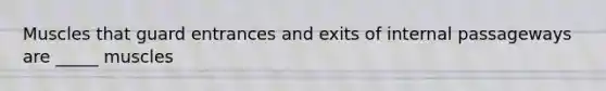 Muscles that guard entrances and exits of internal passageways are _____ muscles