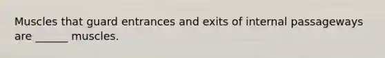 Muscles that guard entrances and exits of internal passageways are ______ muscles.