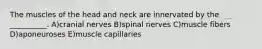 The muscles of the head and neck are innervated by the __________. A)cranial nerves B)spinal nerves C)muscle fibers D)aponeuroses E)muscle capillaries