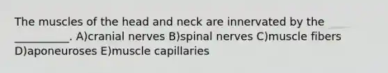 The muscles of the head and neck are innervated by the __________. A)<a href='https://www.questionai.com/knowledge/kE0S4sPl98-cranial-nerves' class='anchor-knowledge'>cranial nerves</a> B)spinal nerves C)muscle fibers D)aponeuroses E)muscle capillaries