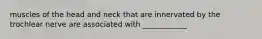 muscles of the head and neck that are innervated by the trochlear nerve are associated with ____________