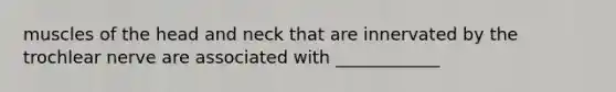muscles of the head and neck that are innervated by the trochlear nerve are associated with ____________