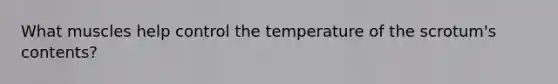 What muscles help control the temperature of the scrotum's contents?