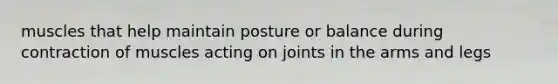 muscles that help maintain posture or balance during contraction of muscles acting on joints in the arms and legs