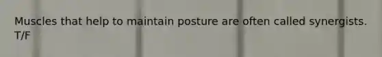 Muscles that help to maintain posture are often called synergists. T/F