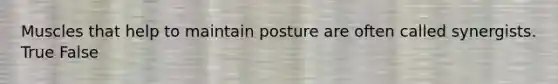 Muscles that help to maintain posture are often called synergists. True False