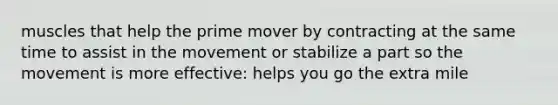 muscles that help the prime mover by contracting at the same time to assist in the movement or stabilize a part so the movement is more effective: helps you go the extra mile