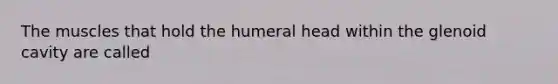 The muscles that hold the humeral head within the glenoid cavity are called